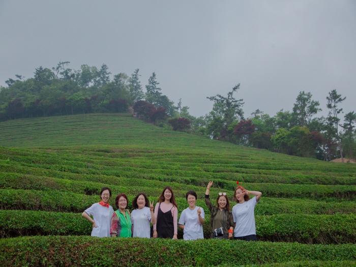 2017. 6. 24. (토) ~ 26. (월) < 2017학년도 현장 교육 : 보성녹차밭 >