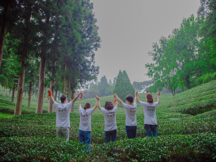 2017. 6. 24. (토) ~ 26. (월) < 2017학년도 현장 교육 : 보성녹차밭 >