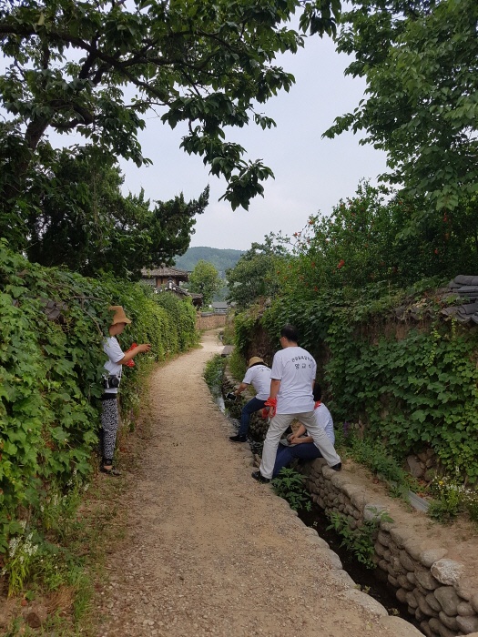 2017. 6. 24. (토) ~ 26. (월) < 2017학년도 현장 교육 : 담양 창평삼지천 슬로시티 & 담양 죽녹원 >