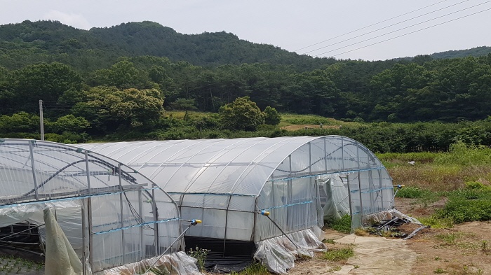 2017. 6. 24. (토) ~ 26. (월) < 2017학년도 현장 교육 : 인덕두레농장 >