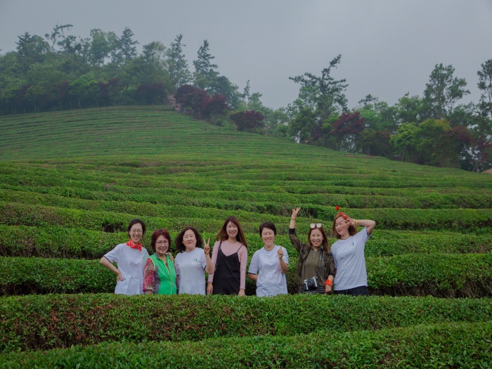 2017. 6. 24. (토) ~ 26. (월) < 2017학년도 현장 교육 : 보성녹차밭 >
