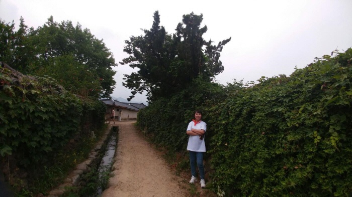 2017. 6. 24. (토) ~ 26. (월) < 2017학년도 현장 교육 : 담양 창평삼지천 슬로시티 & 담양 죽녹원 >