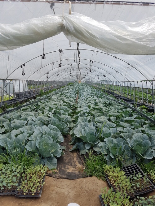 2017. 6. 24. (토) ~ 26. (월) < 2017학년도 현장 교육 : 인덕두레농장 >