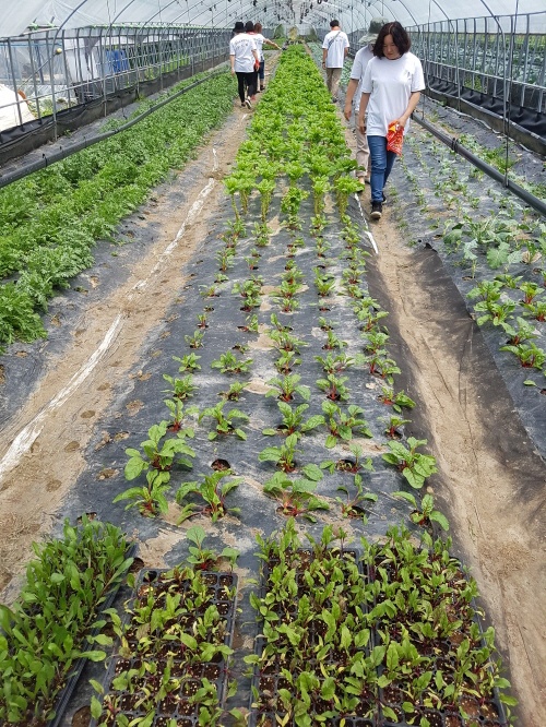 2017. 6. 24. (토) ~ 26. (월) < 2017학년도 현장 교육 : 인덕두레농장 >