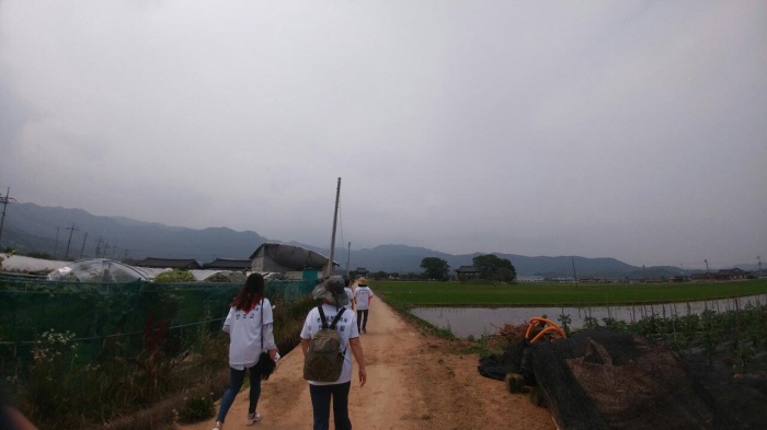 2017. 6. 24. (토) ~ 26. (월) < 2017학년도 현장 교육 : 인덕두레농장 >