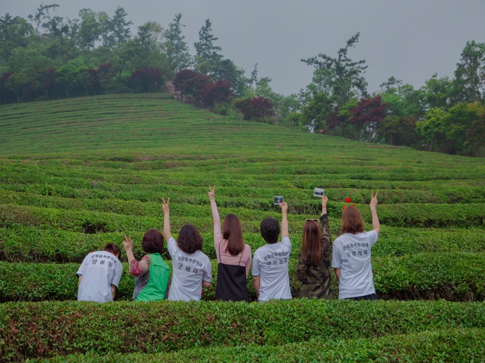 2017. 6. 24. (토) ~ 26. (월) < 2017학년도 현장 교육 : 보성녹차밭 >